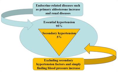 Probiotics: functional food ingredients with the potential to reduce hypertension